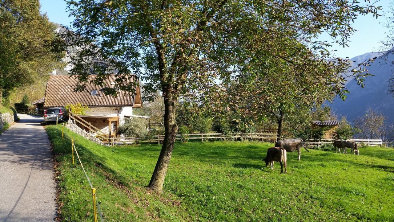 Chalet La Nos Molina di Ledro Bilik gambar